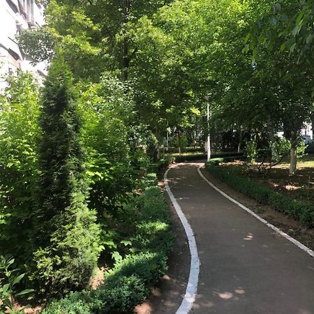 Laguna Apartament 布勒伊拉 外观 照片